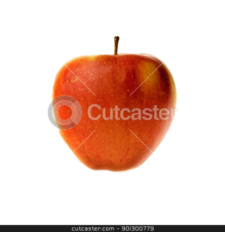 To use this stock image in your creative project, please select the size you need over to the right and click the "Add to Cart" button.
Your downloaded image will come with the Cutcaster watermark removed so don’t worry about the watermark you see on this page. Apple Isolated stock photo, An apple isolated on a white background by Tyler Olson