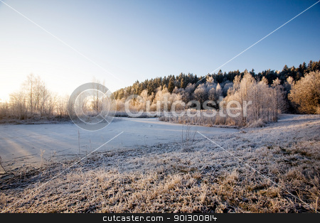 To use this stock image in your creative project, please select the size you need over to the right and click the "Add to Cart" button.
Your downloaded image will come with the Cutcaster watermark removed so don’t worry about the watermark you see on this page. Winter Landscape stock photo, A winter ladscape with sun and frost by Tyler Olson