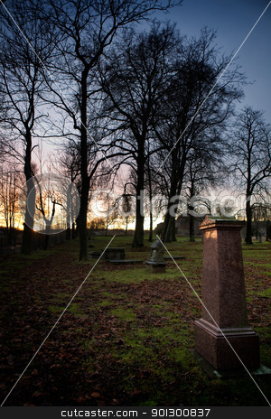 To use this stock image in your creative project, please select the size you need over to the right and click the "Add to Cart" button.
Your downloaded image will come with the Cutcaster watermark removed so don’t worry about the watermark you see on this page. Graveyard stock photo, A spooky graveyard with a deep blue sky by Tyler Olson