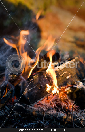 To use this stock image in your creative project, please select the size you need over to the right and click the "Add to Cart" button.
Your downloaded image will come with the Cutcaster watermark removed so don’t worry about the watermark you see on this page. Campfire Detail stock photo, A close up image of a burning camp fire by Tyler Olson