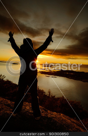 To use this stock image in your creative project, please select the size you need over to the right and click the "Add to Cart" button.
Your downloaded image will come with the Cutcaster watermark removed so don’t worry about the watermark you see on this page. Ocean Silhouette stock photo, Celebration on the ocean coast. by Tyler Olson