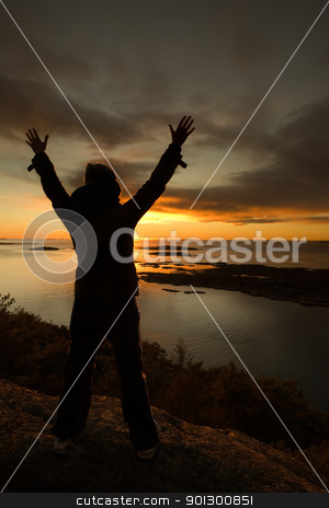 To use this stock image in your creative project, please select the size you need over to the right and click the "Add to Cart" button.
Your downloaded image will come with the Cutcaster watermark removed so don’t worry about the watermark you see on this page. Ocean Silhouette stock photo, Celebration on the ocean coast. by Tyler Olson