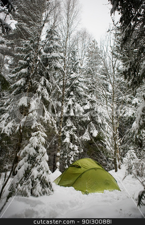 To use this stock image in your creative project, please select the size you need over to the right and click the "Add to Cart" button.
Your downloaded image will come with the Cutcaster watermark removed so don’t worry about the watermark you see on this page. Winter Camping stock photo, A tent in the forest during winter by Tyler Olson