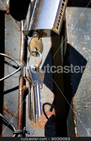 To use this stock image in your creative project, please select the size you need over to the right and click the "Add to Cart" button.
Your downloaded image will come with the Cutcaster watermark removed so don’t worry about the watermark you see on this page. Heavy Lock and Key stock photo, A heavy lock on a wire gate - open padlock with keys by Tyler Olson