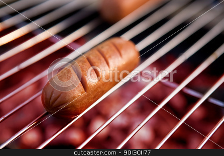 To use this stock image in your creative project, please select the size you need over to the right and click the "Add to Cart" button.
Your downloaded image will come with the Cutcaster watermark removed so don’t worry about the watermark you see on this page. Hotdog on Grill stock photo, A hotdog on a grill by Tyler Olson
