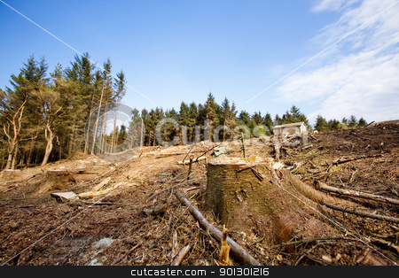 To use this stock image in your creative project, please select the size you need over to the right and click the "Add to Cart" button.
Your downloaded image will come with the Cutcaster watermark removed so don’t worry about the watermark you see on this page. Tree Stump stock photo, A clear cut block with a tree stump in the foreground by Tyler Olson