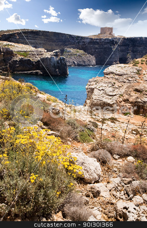 To use this stock image in your creative project, please select the size you need over to the right and click the "Add to Cart" button.
Your downloaded image will come with the Cutcaster watermark removed so don’t worry about the watermark you see on this page. Malta Landscape stock photo, Comino island landscape with by Tyler Olson