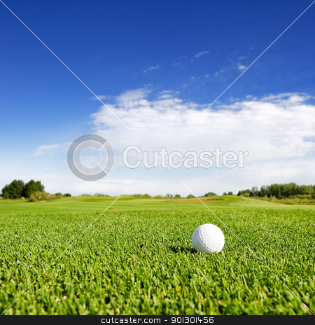 To use this stock image in your creative project, please select the size you need over to the right and click the "Add to Cart" button.
Your downloaded image will come with the Cutcaster watermark removed so don’t worry about the watermark you see on this page. Golf stock photo, A golf ball on a fairway on a golf couse by Tyler Olson