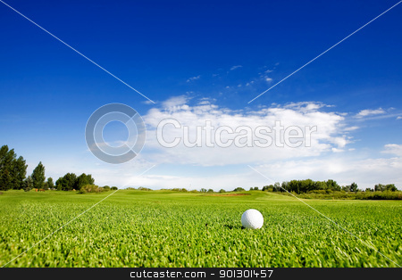 To use this stock image in your creative project, please select the size you need over to the right and click the "Add to Cart" button.
Your downloaded image will come with the Cutcaster watermark removed so don’t worry about the watermark you see on this page. Golf stock photo, A golf ball on a fairway on a golf couse by Tyler Olson