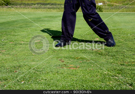 To use this stock image in your creative project, please select the size you need over to the right and click the "Add to Cart" button.
Your downloaded image will come with the Cutcaster watermark removed so don’t worry about the watermark you see on this page. Golf Swing stock photo, A golfer who has just swung at a golf ball by Tyler Olson