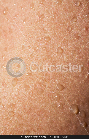 To use this stock image in your creative project, please select the size you need over to the right and click the "Add to Cart" button.
Your downloaded image will come with the Cutcaster watermark removed so don’t worry about the watermark you see on this page. Water on Skin Detail stock photo, A detail image of water drops on skin by Tyler Olson