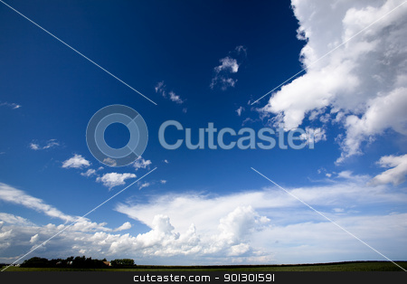 To use this stock image in your creative project, please select the size you need over to the right and click the "Add to Cart" button.
Your downloaded image will come with the Cutcaster watermark removed so don’t worry about the watermark you see on this page. Big Sky Background stock photo, A landscape with a big sky with clouds by Tyler Olson