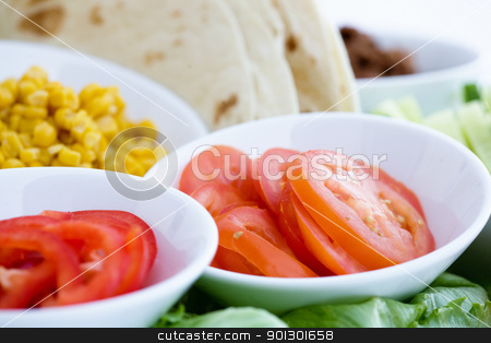To use this stock image in your creative project, please select the size you need over to the right and click the "Add to Cart" button.
Your downloaded image will come with the Cutcaster watermark removed so don’t worry about the watermark you see on this page. Taco Ingredients stock photo, Taco ingredients - shallow depth of field with focus on the tomatoes by Tyler Olson
