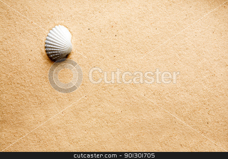 To use this stock image in your creative project, please select the size you need over to the right and click the "Add to Cart" button.
Your downloaded image will come with the Cutcaster watermark removed so don’t worry about the watermark you see on this page. Sand Shell Background stock photo, A shell on a background of golden warm sand by Tyler Olson