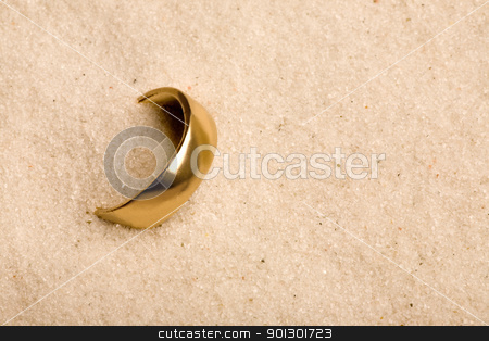 To use this stock image in your creative project, please select the size you need over to the right and click the "Add to Cart" button.
Your downloaded image will come with the Cutcaster watermark removed so don’t worry about the watermark you see on this page. Wedding Ring in Sand stock photo, A wedding ring buried in the sand - lost by Tyler Olson