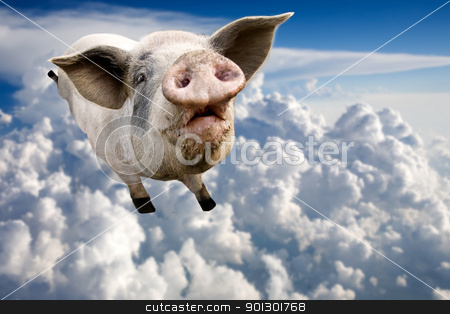 To use this stock image in your creative project, please select the size you need over to the right and click the "Add to Cart" button.
Your downloaded image will come with the Cutcaster watermark removed so don’t worry about the watermark you see on this page. Flying Pig stock photo, A pig flying through the clouds in the sky by Tyler Olson
