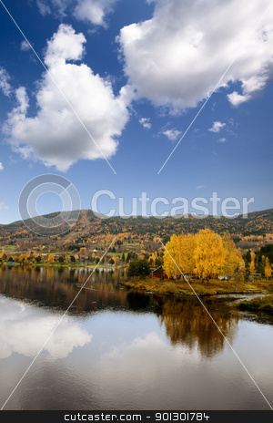 To use this stock image in your creative project, please select the size you need over to the right and click the "Add to Cart" button.
Your downloaded image will come with the Cutcaster watermark removed so don’t worry about the watermark you see on this page. Fall Landscape Geithus stock photo, A fall landscape in Geithus, Norway by Tyler Olson