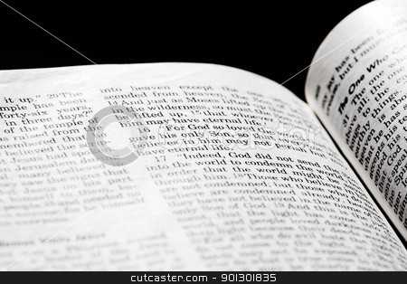 To use this stock image in your creative project, please select the size you need over to the right and click the "Add to Cart" button.
Your downloaded image will come with the Cutcaster watermark removed so don’t worry about the watermark you see on this page. John 3:16 stock photo, John 3:16 in the Christian Bible, For God so loved the world... by Tyler Olson