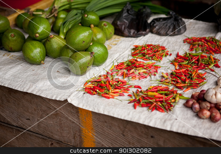 To use this stock image in your creative project, please select the size you need over to the right and click the "Add to Cart" button.
Your downloaded image will come with the Cutcaster watermark removed so don’t worry about the watermark you see on this page. Vegetable and Fruit Market stock photo, A thrid world food market with chilli and fruit by Tyler Olson