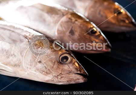 To use this stock image in your creative project, please select the size you need over to the right and click the "Add to Cart" button.
Your downloaded image will come with the Cutcaster watermark removed so don’t worry about the watermark you see on this page. Fresh Fish stock photo, Three fresh fish at an outdoor market by Tyler Olson