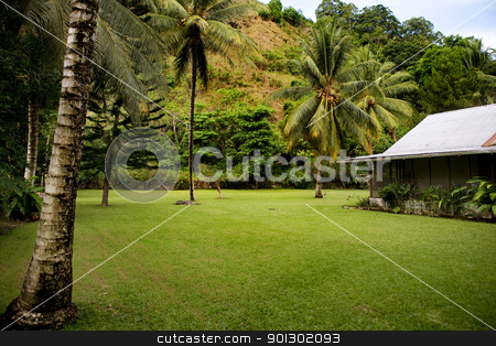 To use this stock image in your creative project, please select the size you need over to the right and click the "Add to Cart" button.
Your downloaded image will come with the Cutcaster watermark removed so don’t worry about the watermark you see on this page. Tropical Back Yard stock photo, A tropical back yard with a house by Tyler Olson
