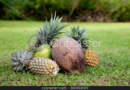 To use this stock image in your creative project, please select the size you need over to the right and click the "Add to Cart" button.
Your downloaded image will come with the Cutcaster watermark removed so don’t worry about the watermark you see on this page. Tropical Fruit stock photo, Tropical fruit on green grass by Tyler Olson