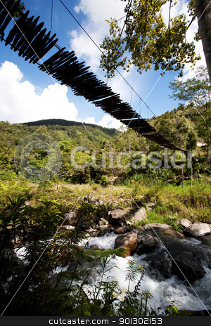 To use this stock image in your creative project, please select the size you need over to the right and click the "Add to Cart" button.
Your downloaded image will come with the Cutcaster watermark removed so don’t worry about the watermark you see on this page. Mountain River with Hanging Bridge stock photo, A tropical mountain stream with hanging bridge by Tyler Olson