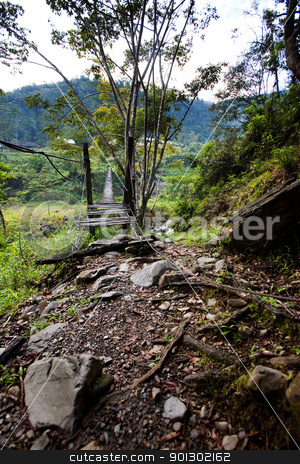 To use this stock image in your creative project, please select the size you need over to the right and click the "Add to Cart" button.
Your downloaded image will come with the Cutcaster watermark removed so don’t worry about the watermark you see on this page. Suspension Bridge stock photo, A scary hanging bridge in a tropical landscape by Tyler Olson