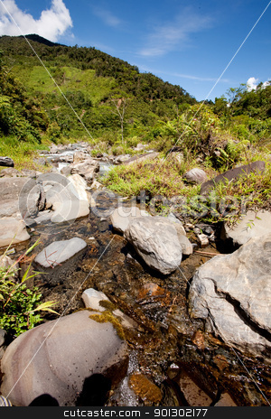 To use this stock image in your creative project, please select the size you need over to the right and click the "Add to Cart" button.
Your downloaded image will come with the Cutcaster watermark removed so don’t worry about the watermark you see on this page. Mountain Stream stock photo, A rapid flowing stream in tropical mountains by Tyler Olson