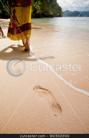 To use this stock image in your creative project, please select the size you need over to the right and click the "Add to Cart" button.
Your downloaded image will come with the Cutcaster watermark removed so don’t worry about the watermark you see on this page. Beach Paradise stock photo, Walking on a beautiful beach by Tyler Olson