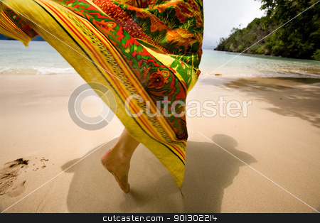 To use this stock image in your creative project, please select the size you need over to the right and click the "Add to Cart" button.
Your downloaded image will come with the Cutcaster watermark removed so don’t worry about the watermark you see on this page. Tropical Holiday stock photo, A woman's skirt blowing in the wind on a tropical beach by Tyler Olson