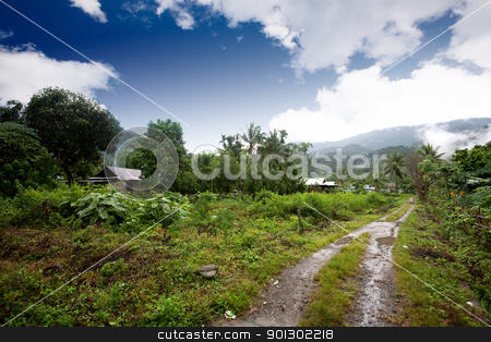 To use this stock image in your creative project, please select the size you need over to the right and click the "Add to Cart" button.
Your downloaded image will come with the Cutcaster watermark removed so don’t worry about the watermark you see on this page. Indonesia stock photo, A small dirt road in the mountains in indonesia by Tyler Olson