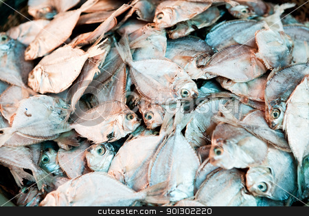 To use this stock image in your creative project, please select the size you need over to the right and click the "Add to Cart" button.
Your downloaded image will come with the Cutcaster watermark removed so don’t worry about the watermark you see on this page. Dried Fish Background stock photo, A background of dried white fish by Tyler Olson