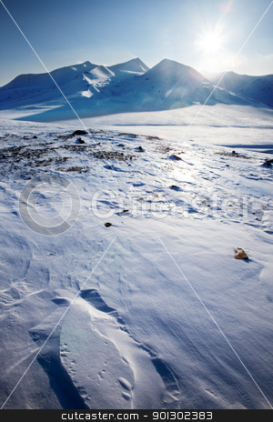 To use this stock image in your creative project, please select the size you need over to the right and click the "Add to Cart" button.
Your downloaded image will come with the Cutcaster watermark removed so don’t worry about the watermark you see on this page. Svalbard Landscape stock photo, A panorama landscape on Spitsbergen Island, Svalbard, Norway by Tyler Olson
