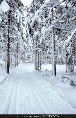 To use this stock image in your creative project, please select the size you need over to the right and click the "Add to Cart" button.
Your downloaded image will come with the Cutcaster watermark removed so don’t worry about the watermark you see on this page. Ski Trail stock photo, A winter ski trail through a forest by Tyler Olson