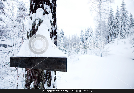 To use this stock image in your creative project, please select the size you need over to the right and click the "Add to Cart" button.
Your downloaded image will come with the Cutcaster watermark removed so don’t worry about the watermark you see on this page. Winter Landscape - Blank Sign stock photo, A winter landscape with a blank sign by Tyler Olson