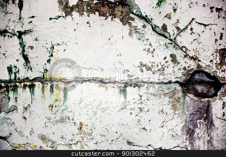 To use this stock image in your creative project, please select the size you need over to the right and click the "Add to Cart" button.
Your downloaded image will come with the Cutcaster watermark removed so don’t worry about the watermark you see on this page. Weathered Wall stock photo, An old wall texture, grunge white paint by Tyler Olson