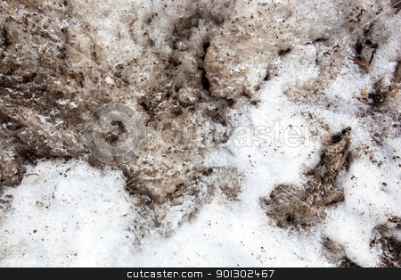To use this stock image in your creative project, please select the size you need over to the right and click the "Add to Cart" button.
Your downloaded image will come with the Cutcaster watermark removed so don’t worry about the watermark you see on this page. Dirty Snow Background stock photo, A background texture of dirty snow by Tyler Olson