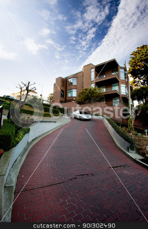 To use this stock image in your creative project, please select the size you need over to the right and click the "Add to Cart" button.
Your downloaded image will come with the Cutcaster watermark removed so don’t worry about the watermark you see on this page. Lombard Street stock photo, Lombard Street, San Francisco a tight street of switch backs by Tyler Olson