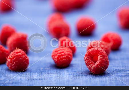 To use this stock image in your creative project, please select the size you need over to the right and click the "Add to Cart" button.
Your downloaded image will come with the Cutcaster watermark removed so don’t worry about the watermark you see on this page. Raspberry stock photo, Fresh raspberries isolated on a blue cloth by Tyler Olson