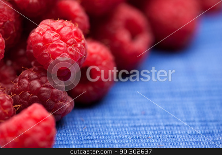 To use this stock image in your creative project, please select the size you need over to the right and click the "Add to Cart" button.
Your downloaded image will come with the Cutcaster watermark removed so don’t worry about the watermark you see on this page. Raspberry stock photo, Fresh raspberries isolated on a blue cloth. Shallow depth of field. by Tyler Olson