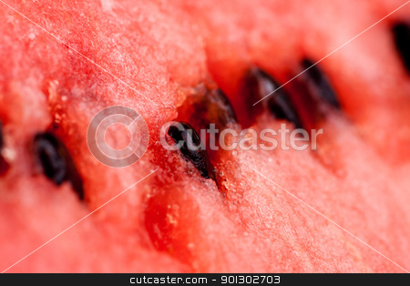 To use this stock image in your creative project, please select the size you need over to the right and click the "Add to Cart" button.
Your downloaded image will come with the Cutcaster watermark removed so don’t worry about the watermark you see on this page. Watermelon Background stock photo, A ripe watermelon fruit background detail by Tyler Olson