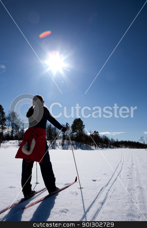 To use this stock image in your creative project, please select the size you need over to the right and click the "Add to Cart" button.
Your downloaded image will come with the Cutcaster watermark removed so don’t worry about the watermark you see on this page. Cross Country Skiing stock photo, A woman in a winter landscape cross country skiing by Tyler Olson