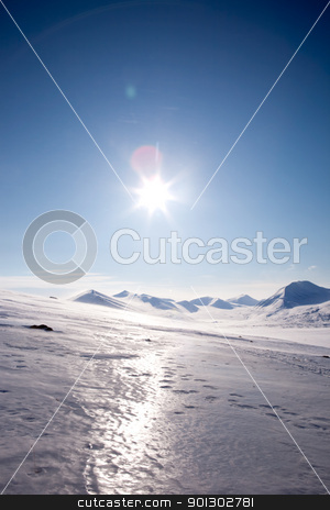 To use this stock image in your creative project, please select the size you need over to the right and click the "Add to Cart" button.
Your downloaded image will come with the Cutcaster watermark removed so don’t worry about the watermark you see on this page. Winter Mountain stock photo, A winter landscape on Spitsbergen Island, Svalbard, Norway by Tyler Olson