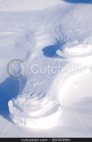 To use this stock image in your creative project, please select the size you need over to the right and click the "Add to Cart" button.
Your downloaded image will come with the Cutcaster watermark removed so don’t worry about the watermark you see on this page. Polar Bear Track stock photo, A polar bear track in the snow by Tyler Olson