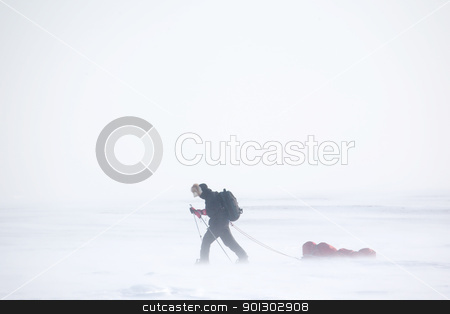 To use this stock image in your creative project, please select the size you need over to the right and click the "Add to Cart" button.
Your downloaded image will come with the Cutcaster watermark removed so don’t worry about the watermark you see on this page. Winter Expedition stock photo, A single person on a winter expedition in a snow storm by Tyler Olson