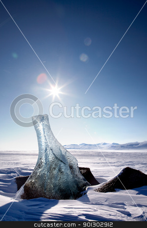 To use this stock image in your creative project, please select the size you need over to the right and click the "Add to Cart" button.
Your downloaded image will come with the Cutcaster watermark removed so don’t worry about the watermark you see on this page. Glacier Landscape stock photo, A piece of glacier ice sticking out of the frozen ocean, Spitsbergen, Svalbard, Norway by Tyler Olson