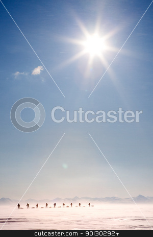 To use this stock image in your creative project, please select the size you need over to the right and click the "Add to Cart" button.
Your downloaded image will come with the Cutcaster watermark removed so don’t worry about the watermark you see on this page. Polar Expedition stock photo, A group of people on a polar expedition in a snow storm by Tyler Olson