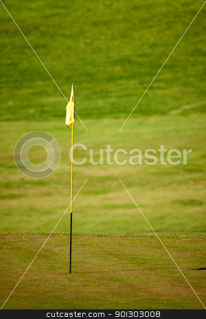 To use this stock image in your creative project, please select the size you need over to the right and click the "Add to Cart" button.
Your downloaded image will come with the Cutcaster watermark removed so don’t worry about the watermark you see on this page. Golf Course stock photo, A green on a golf course, shallow depth of field by Tyler Olson