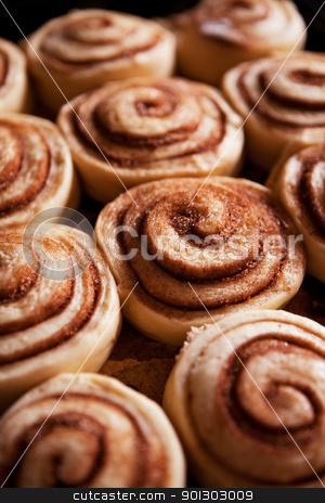To use this stock image in your creative project, please select the size you need over to the right and click the "Add to Cart" button.
Your downloaded image will come with the Cutcaster watermark removed so don’t worry about the watermark you see on this page. Cinnamon Buns stock photo, A detail of raw cinnamon buns - very shallow depth of field. by Tyler Olson